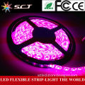 White PCB LED Strip 5050 RGB IP68